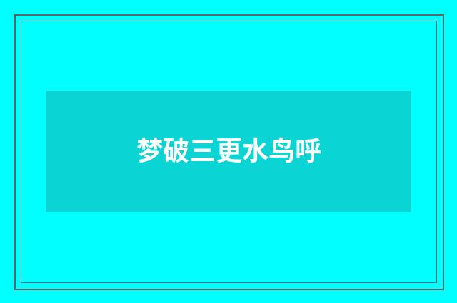 梦破三更水鸟呼