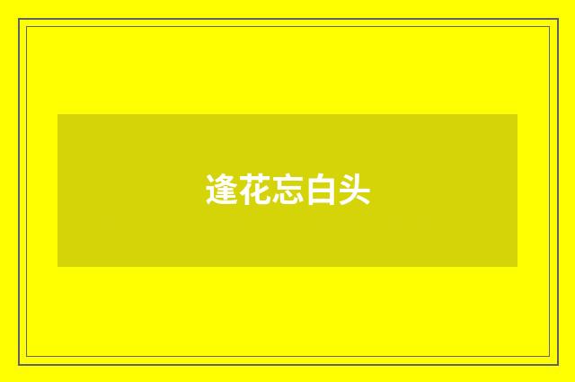 逢花忘白头