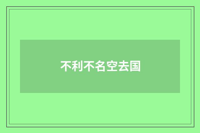 不利不名空去国