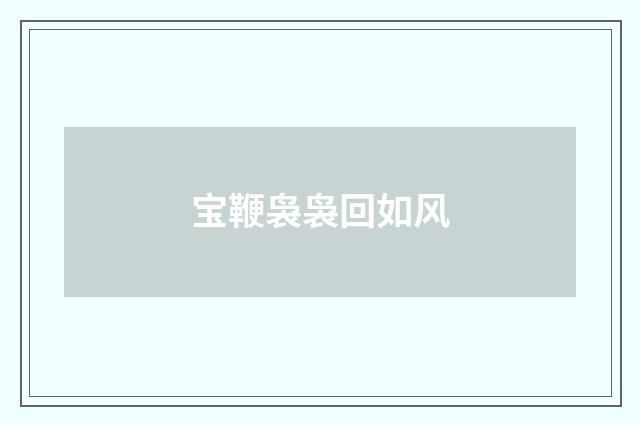 宝鞭袅袅回如风
