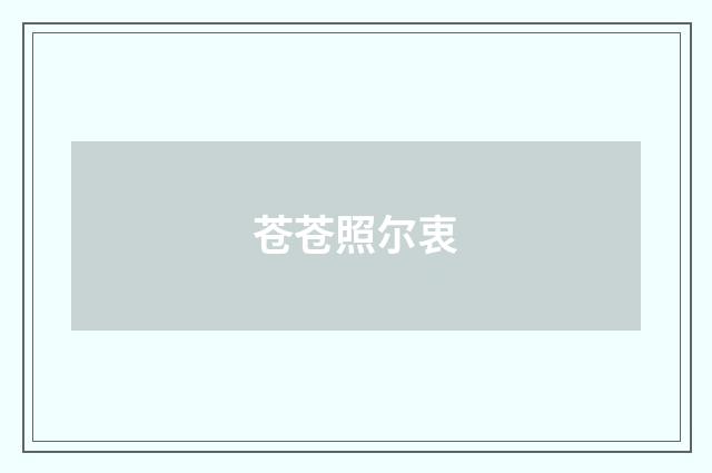 苍苍照尔衷