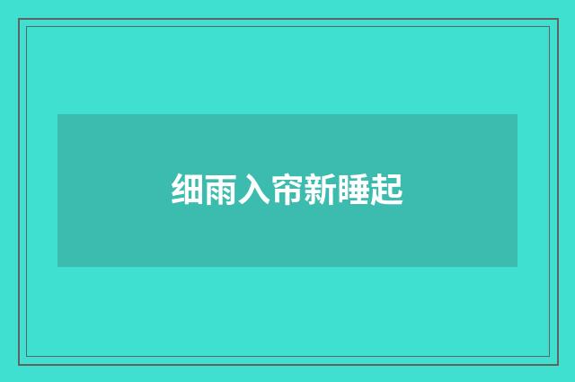 细雨入帘新睡起