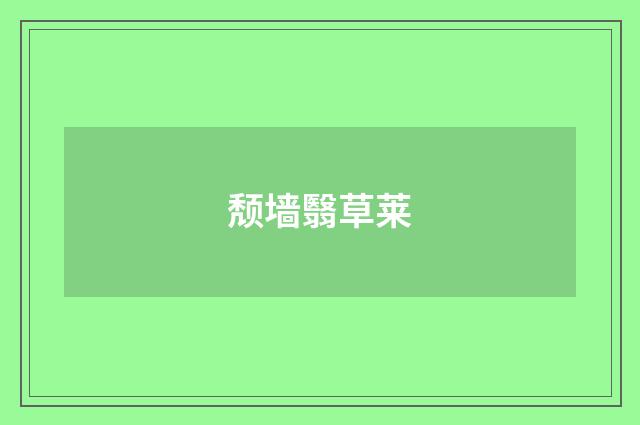 颓墙翳草莱