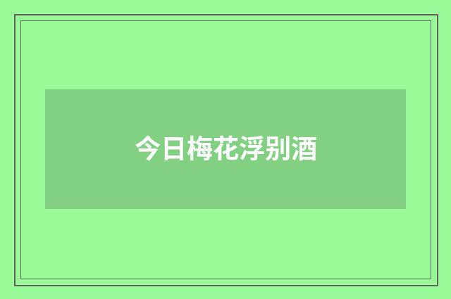 今日梅花浮别酒