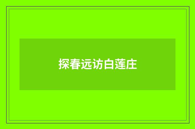 探春远访白莲庄
