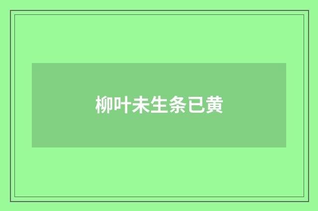 柳叶未生条已黄
