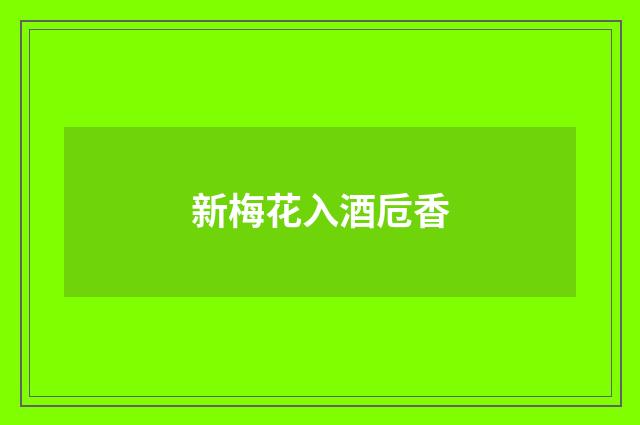 新梅花入酒卮香