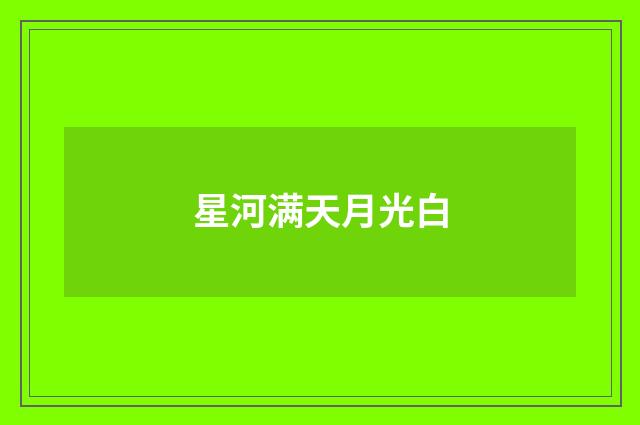 星河满天月光白