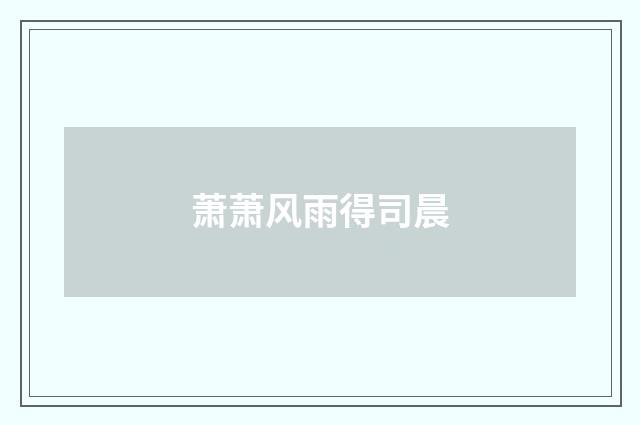 萧萧风雨得司晨