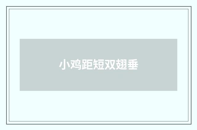 小鸡距短双翅垂