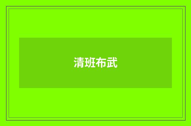 清班布武