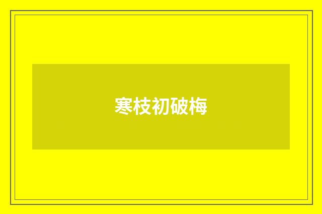 寒枝初破梅