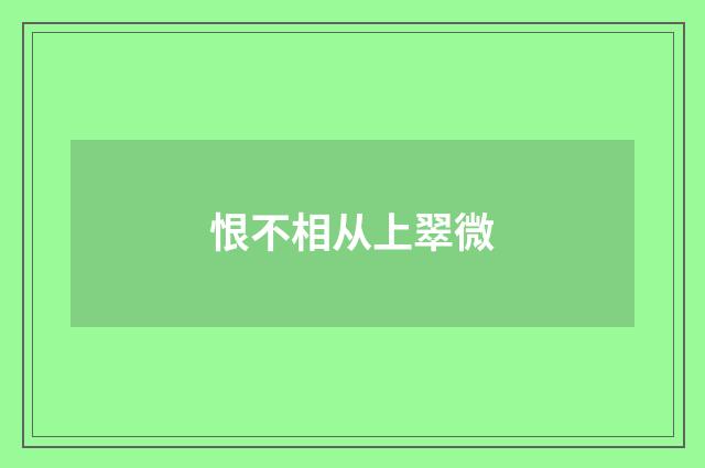 恨不相从上翠微