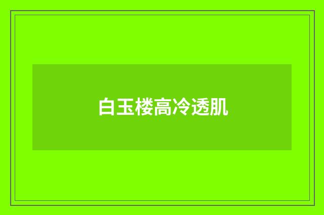 白玉楼高冷透肌