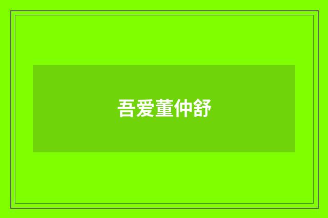 吾爱董仲舒