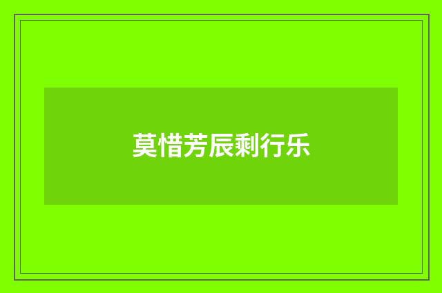 莫惜芳辰剩行乐
