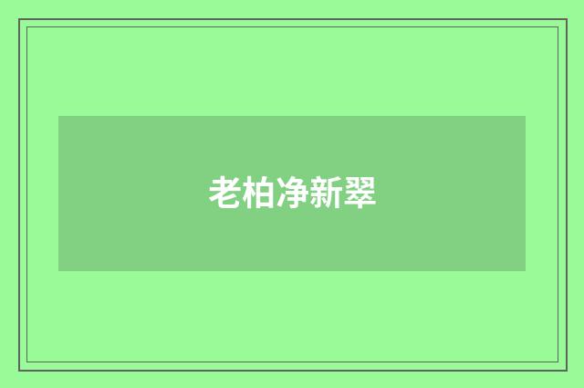 老柏净新翠