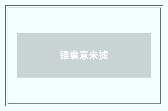 锥囊意未摅