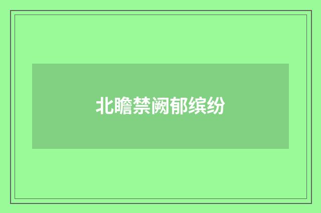 北瞻禁阙郁缤纷