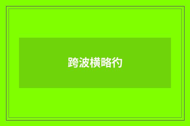 跨波横略彴