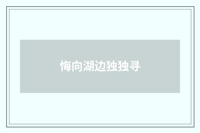 悔向湖边独独寻