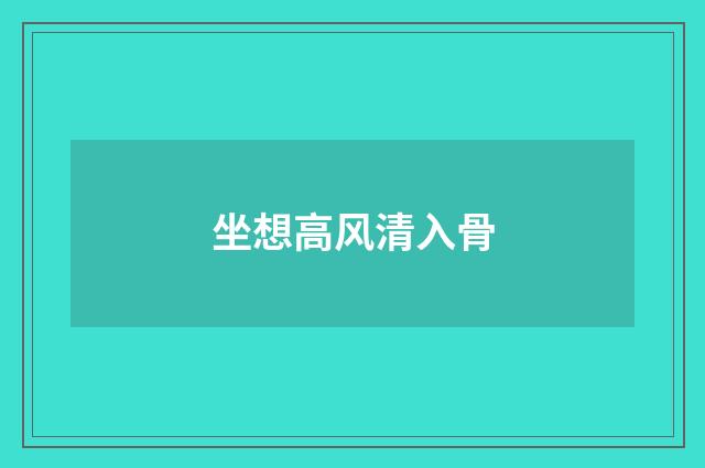 坐想高风清入骨