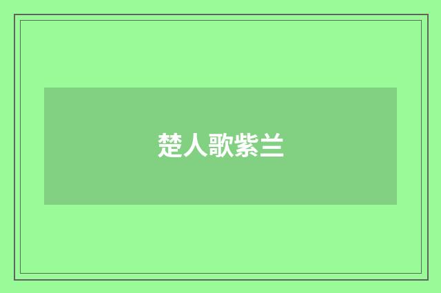 楚人歌紫兰