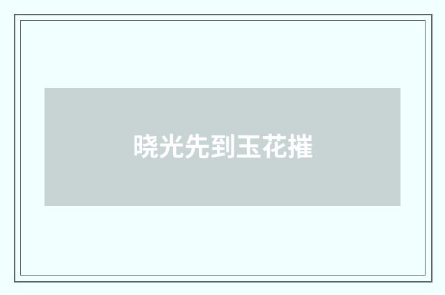 晓光先到玉花摧