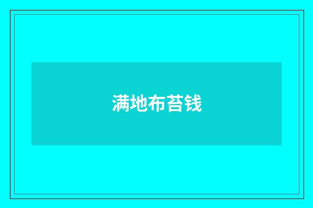 满地布苔钱