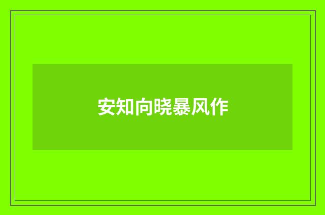 安知向晓暴风作