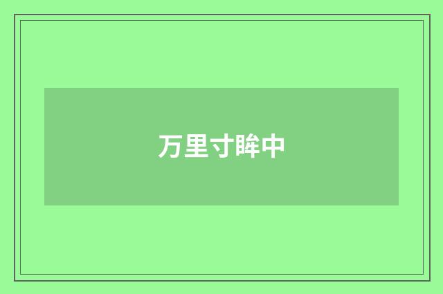 万里寸眸中