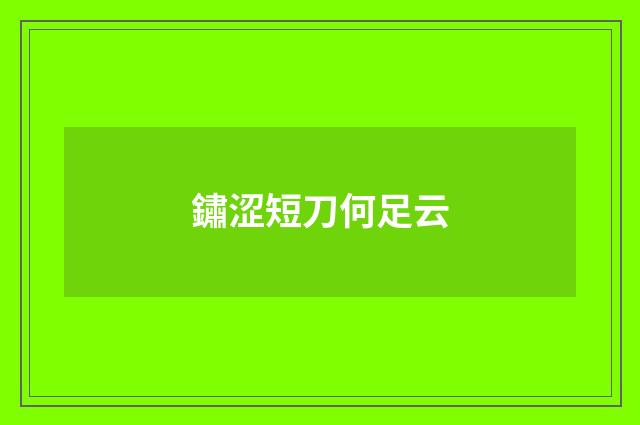 鏽涩短刀何足云