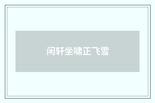 闲轩坐啸正飞雪