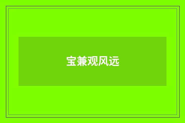 宝兼观风远