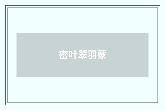 密叶翠羽蒙