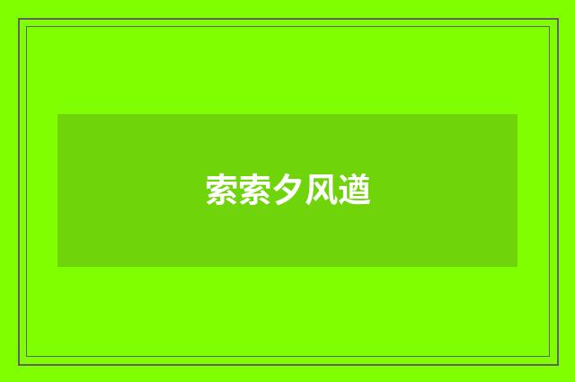 索索夕风遒
