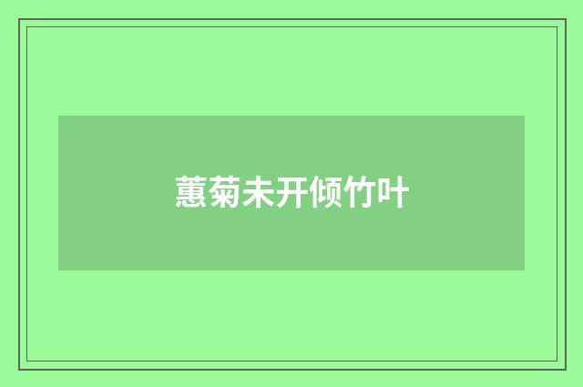 蕙菊未开倾竹叶