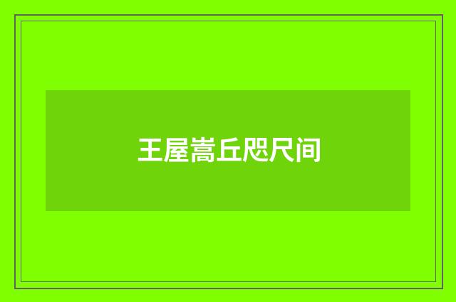 王屋嵩丘咫尺间