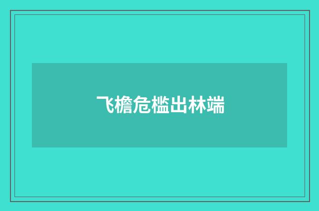 飞檐危槛出林端