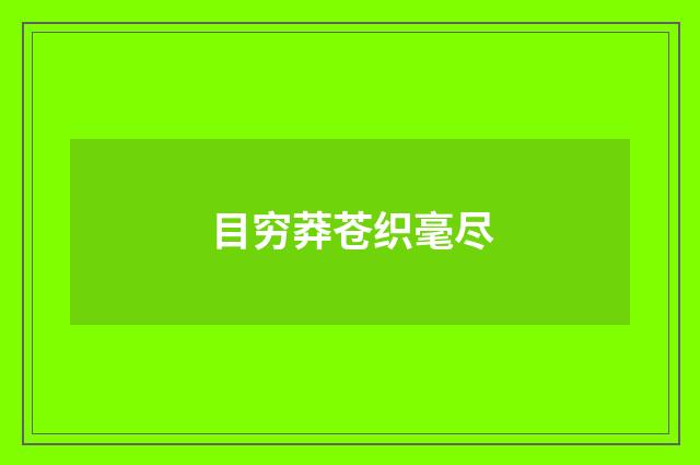 目穷莽苍织毫尽