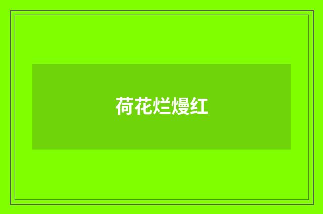 荷花烂熳红