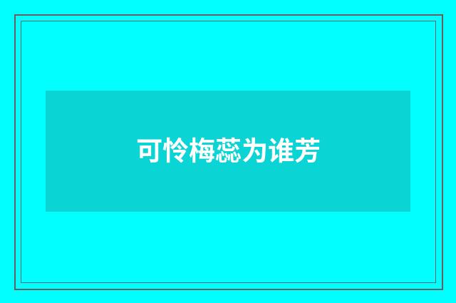可怜梅蕊为谁芳