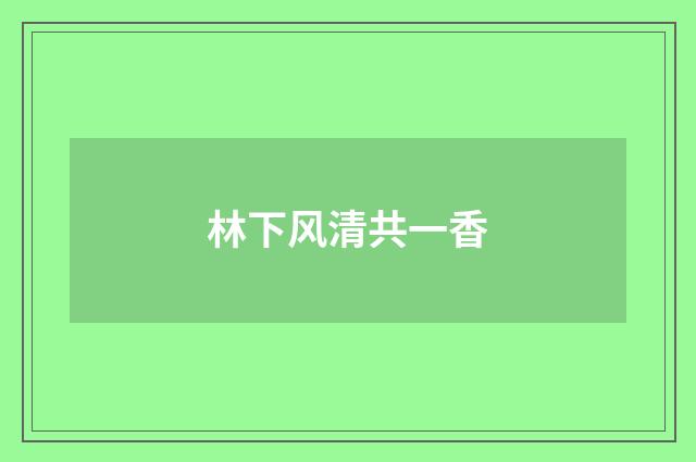 林下风清共一香