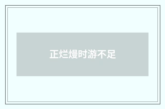 正烂熳时游不足