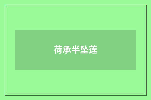 荷承半坠莲