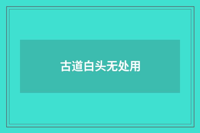 古道白头无处用