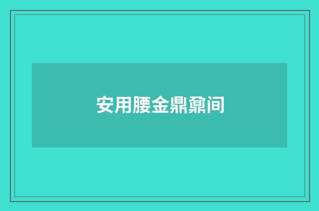 安用腰金鼎鼐间