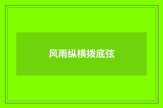 风雨纵横拨底弦
