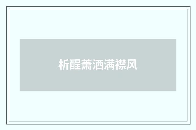 析酲萧洒满襟风