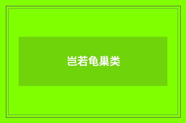 岂若龟巢类